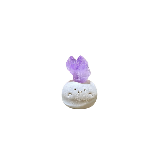 Amethyst Mini Planter: Your Personal Energy Garden